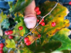 IMG_20191106_132450.jpg