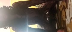 VideoCapture_20191107-120532.jpg