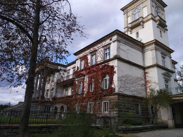 wojjtemonte