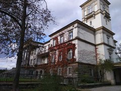 IMG_20191106_122328.jpg