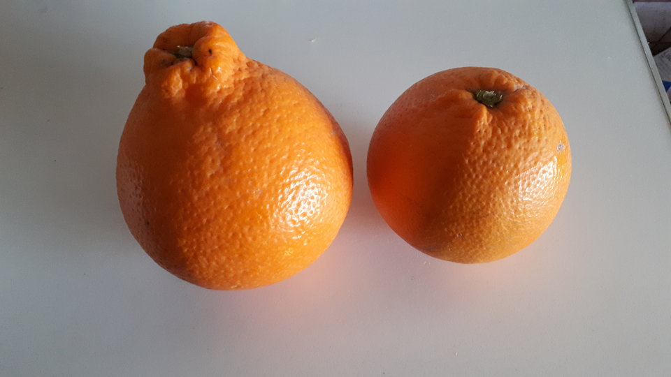 20190209_165837.jpg - Sicilia