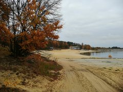 IMG_20191110_141208.jpg