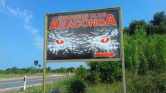 anaconda.jpg