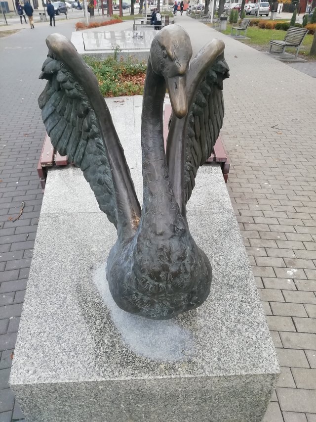 Niesmialydyskretny