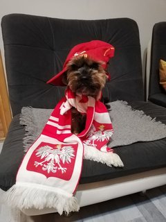 Polska Biało Cerwoni.jpg