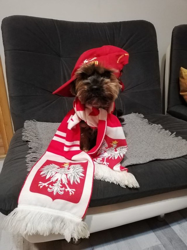TOFIK_i_TOFIKOWA