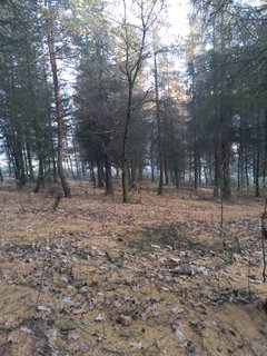 Jak tu pięknie i cicho 