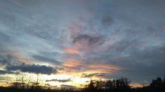 IMAG0485.jpg