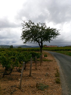 DSC_0482.JPG