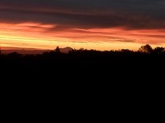 DSC_0505.JPG