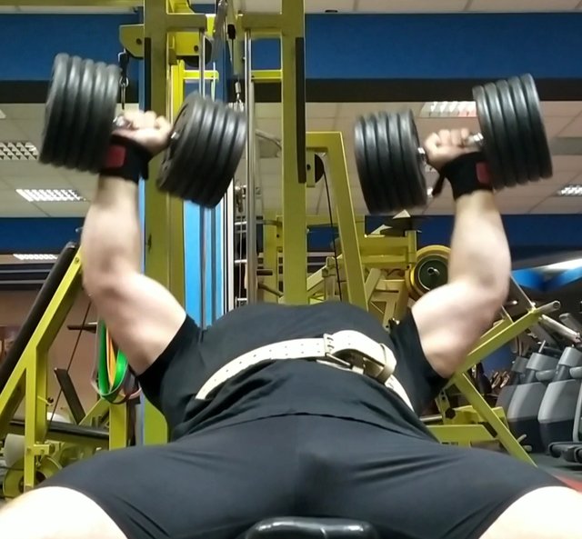 Daro862