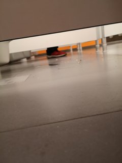 IMG_20191118_202514.jpg
