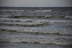 DSC_0260.JPG
