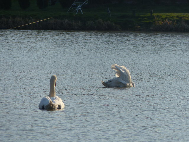 onaongliwice