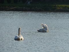 P1000109.JPG