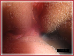 DSC01379.jpg