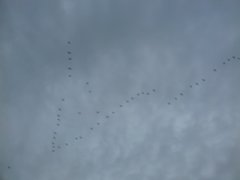 20191117_131838.jpg