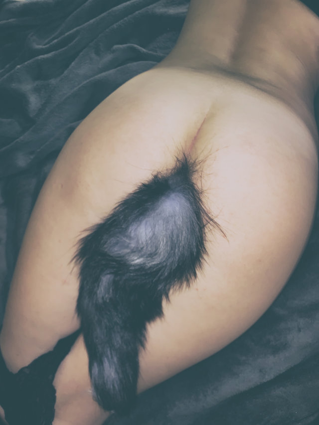 tak4hecy