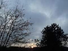 20191124_055645.jpg