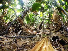 RIMG0636.JPG