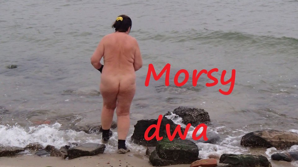 Kąpiel 26 XI 2019 r. - Morsy_dwa