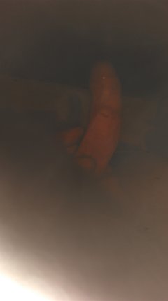 IMAG0099.jpg