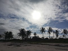 IMG_20191112_160733.jpg