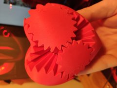 IMG_20191207_005101.jpg