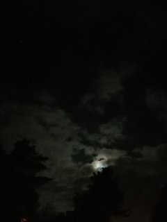 Nocą..