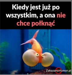 20191209_182944.jpg