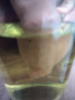 IMG_20191210_210735.jpg