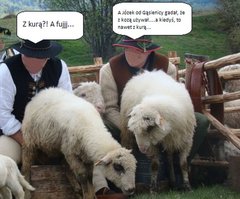 Kura1.jpg