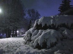 20191223_221225.jpg