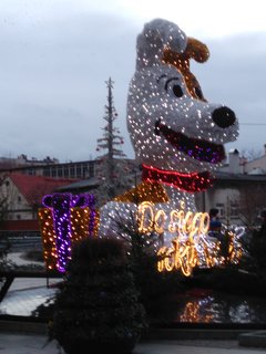 IMG_20191214_153347.jpg