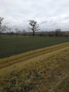 IMG_20191224_104722.jpg