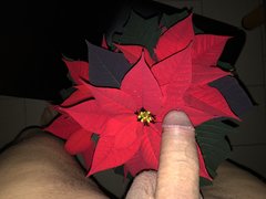 802C9113-C8E5-45D2-8DBD-0A3591DA3EC1.jpeg