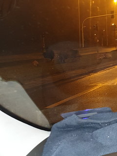 20191222_045137.jpg