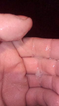 IMAG0317.jpg