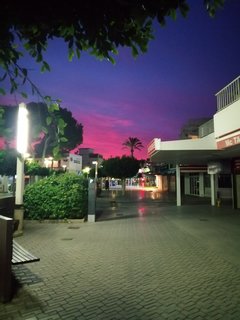 IMG_20191213_180244.jpg