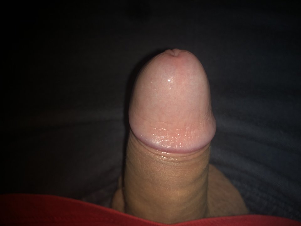 2C7CC1D0-6CBE-4940-8E0A-4402DE72B024.jpeg - Kamellukasz1