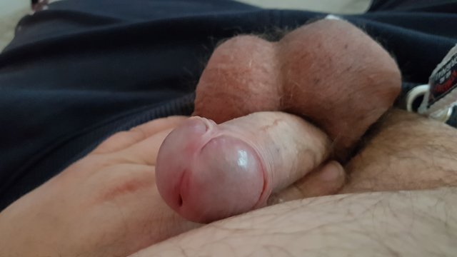 zwykly_krk