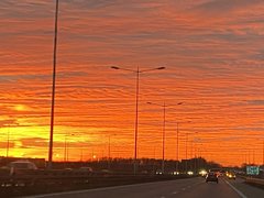 A68CC955-CB1D-4F23-B3BD-FD6E2F1B6A56.jpeg