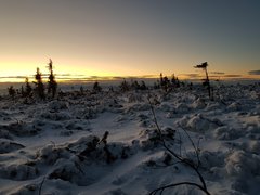 20191231_071215.jpg