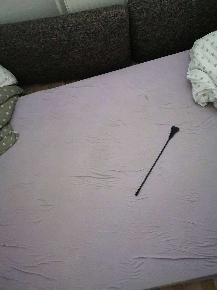 15781340808495010585392307264630.jpg - Voresfraekkeliv