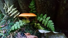 DSC_0297_1.JPG