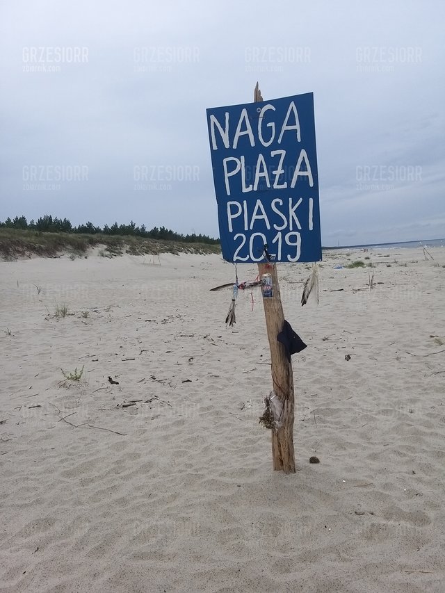 grzesiorr
