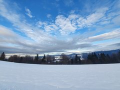 20200110_142035.jpg