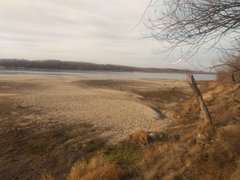 IMG_20200112_121348598.jpg