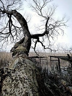 20200114_141113.jpg