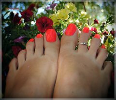 flowers #17